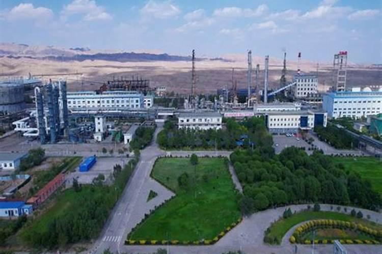 甘肃金昌化工(集团)有限责任公司的集团概述