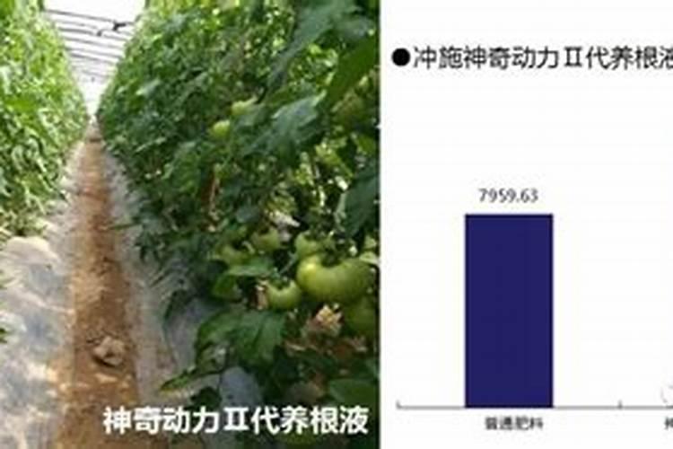 瑞莱水溶肥有哪些配方,有在葡萄上面使用的水溶肥配方吗？