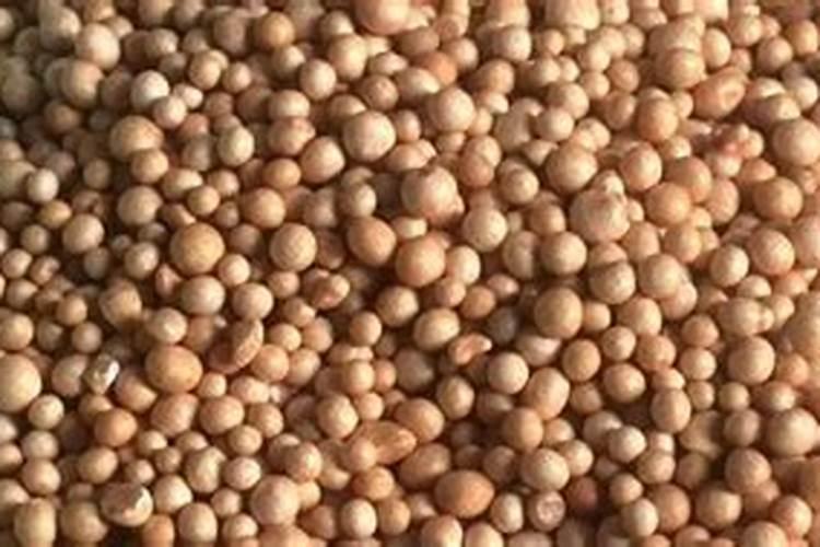 控释肥一次给多少