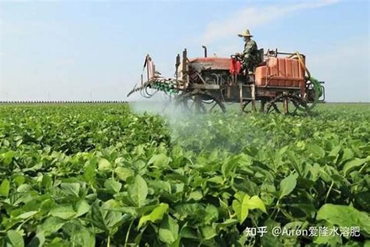 六大优势!叶面肥在现代农业中的独特价值