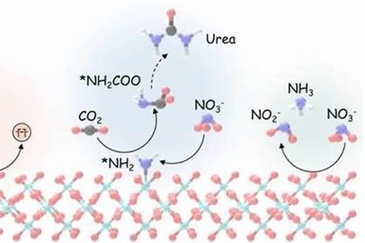 硝基尿素是什么