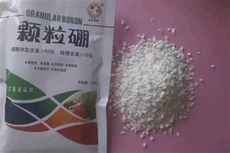 硼肥的作用 缺硼和硼肥过量症状