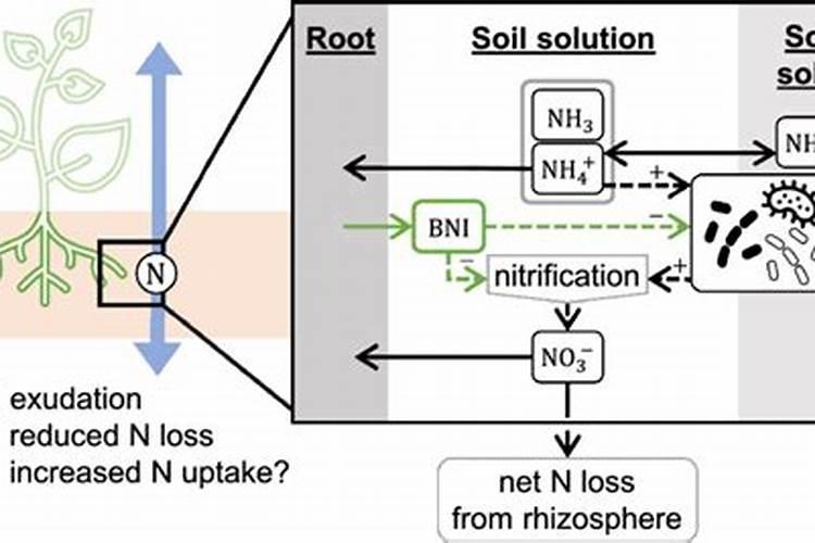 硝化抑制剂的介绍
