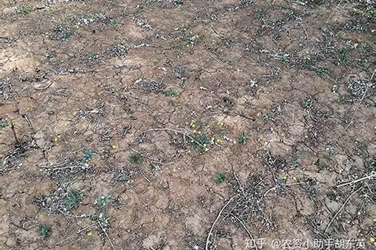 菏泽黄腐酸钾生产厂家有哪些？