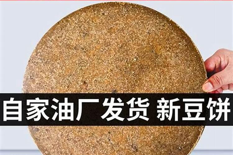 豆饼肥是钾肥吗为什么？