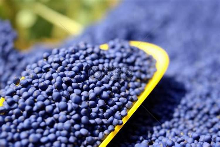 纯硫氮肥可不可以种油菜种子？