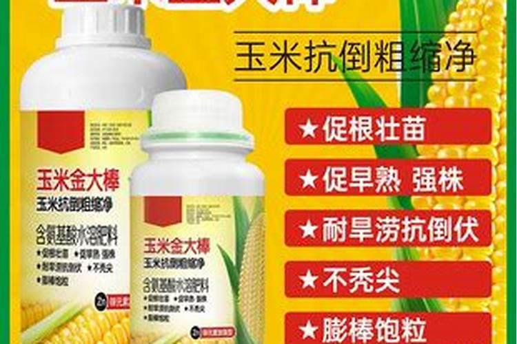 玉米金大棒叶面肥哪个牌子好