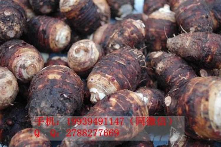 芋头喷施什么叶面肥最好？