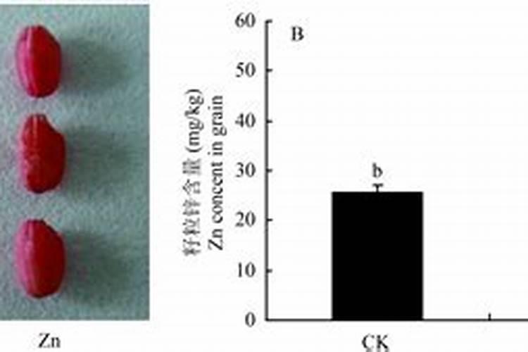 锌肥过多的影响因素有？