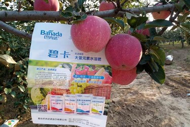 葡萄高钾水溶肥什么时候用？