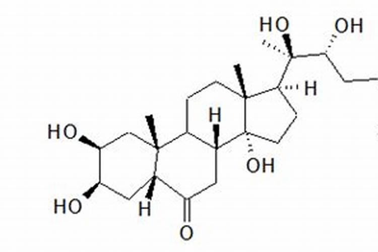 沙糖桔转色前打0.01%羟基芸苔素