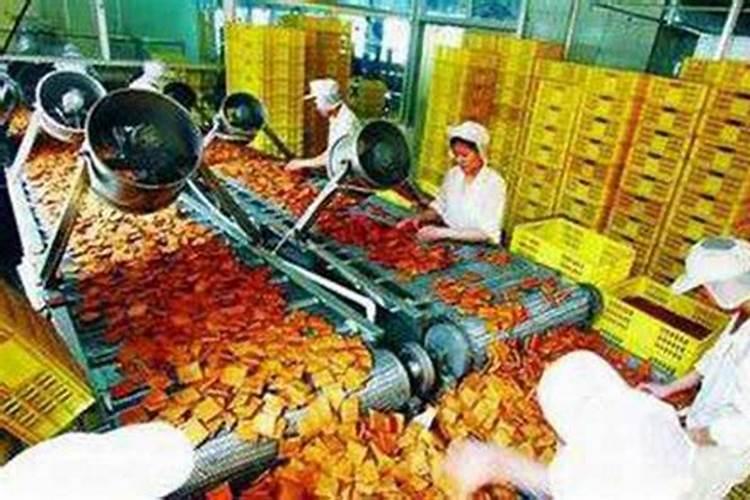 回乡创业好项目:不愁销路的小型加工厂