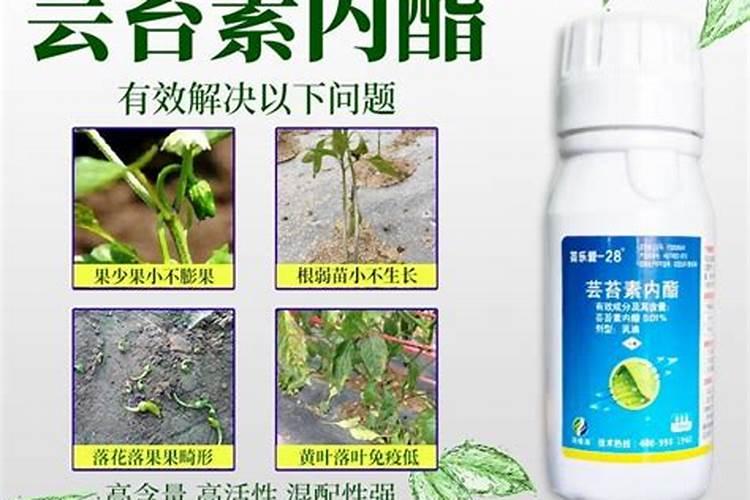 芸苔素内酯会和肥料反应吗为什么？