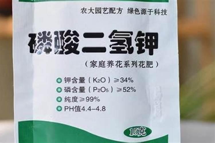 磷酸二氢钾可以浇文竹吗