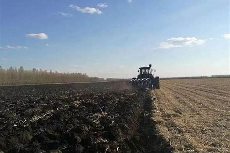 黑龙江黑土地缺钾肥吗？