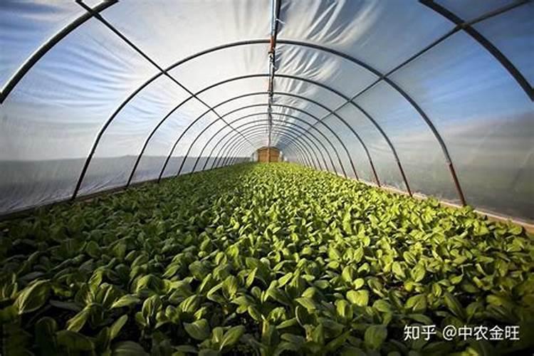 普通农药一亩地的成本是多少钱？