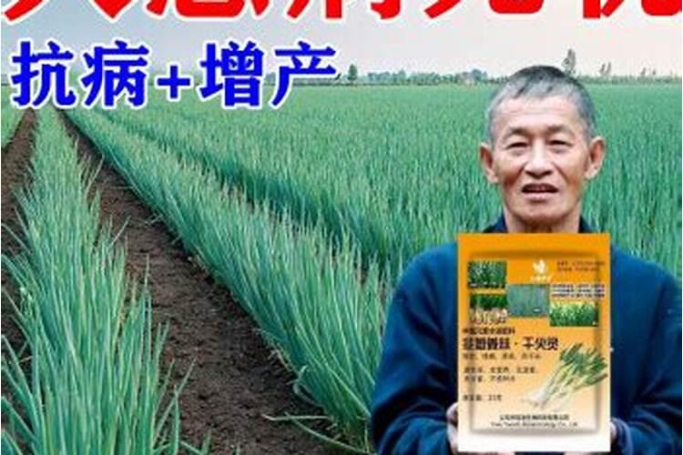 大葱杀菌剂有什么药？