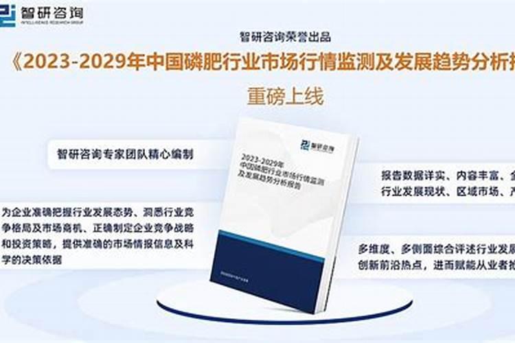 20252030年中国磷肥行业市场行情监测及发展趋势分析报告