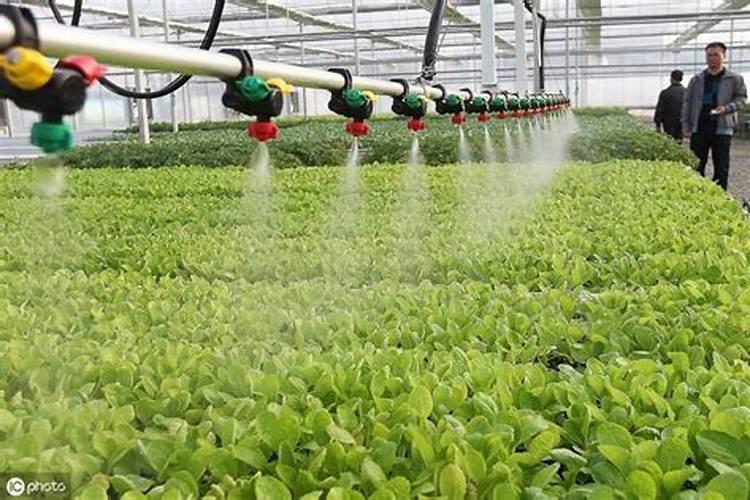 水溶肥料基本知识大全