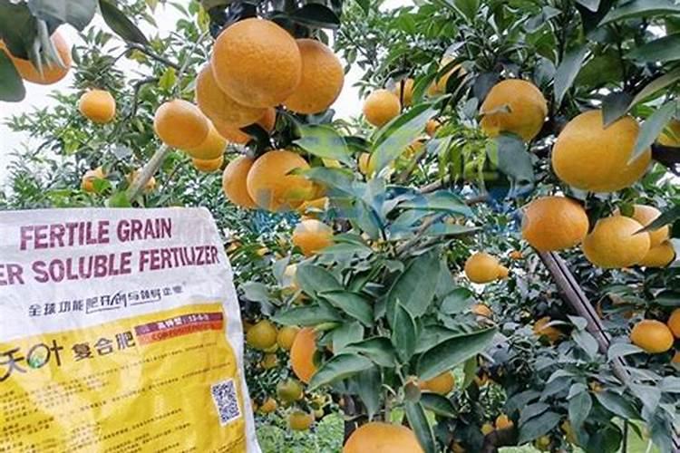 哪种水溶肥膨果快效果好？