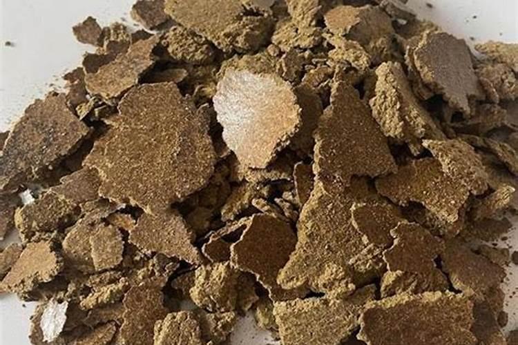 什么样的饼肥养花最好？