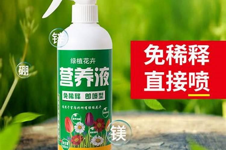 一喷绿叶面肥有用吗