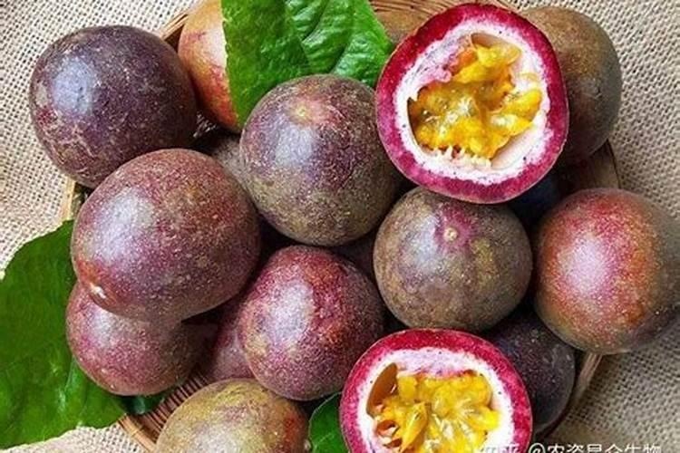 百香果下什么肥料着色增甜？种植百香果下什么肥料产量高