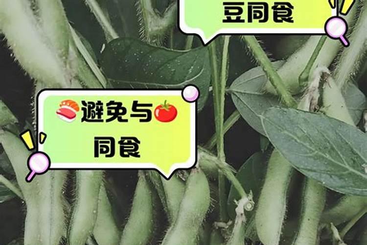 鱼蛋白最忌三种肥料