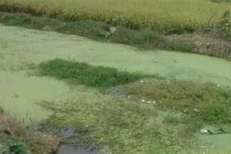 ...应采取哪些措施,化肥污染的主要表现形式有哪些