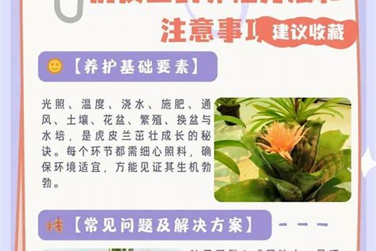 幼苗施肥方法和注意事项