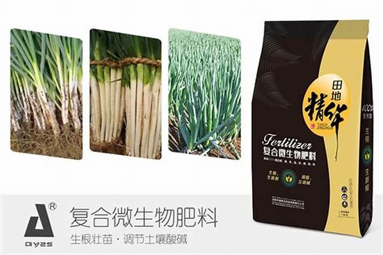 立秋后大葱追什么肥好