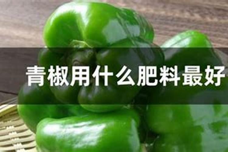 青椒用什么肥料最好