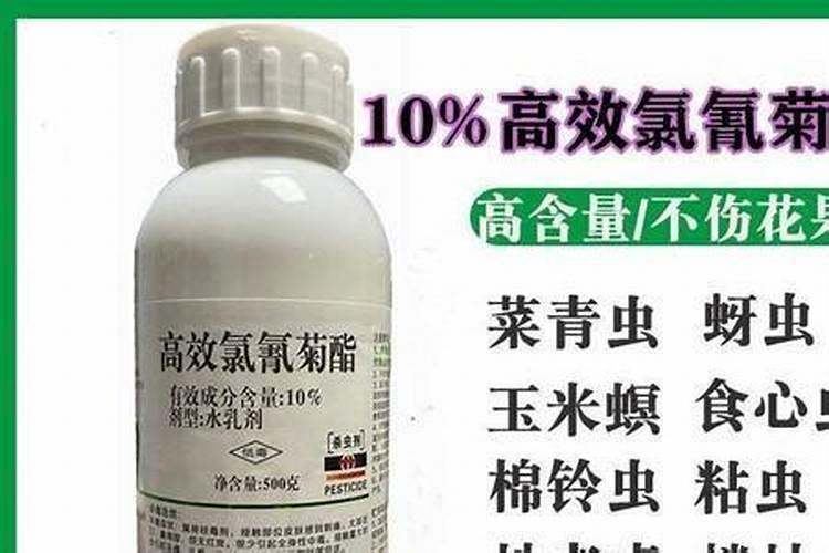 多菌灵和吡虫啉能一块用吗