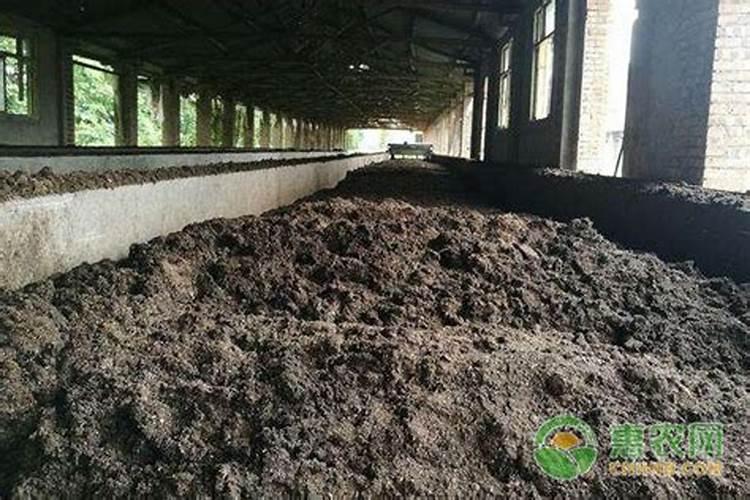 怎样用大豆做肥料