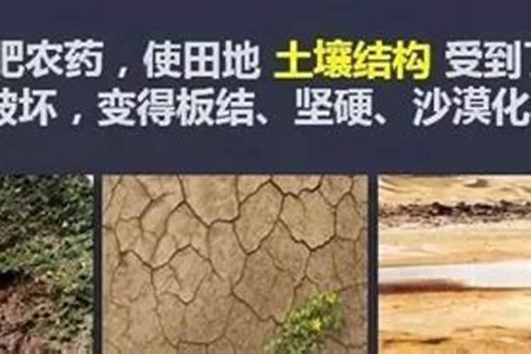 过量施用化肥会给环境与人类带来的危害和不良影响有哪些