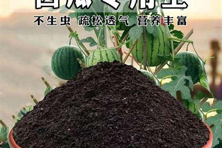 西瓜用平衡肥吗怎么施肥