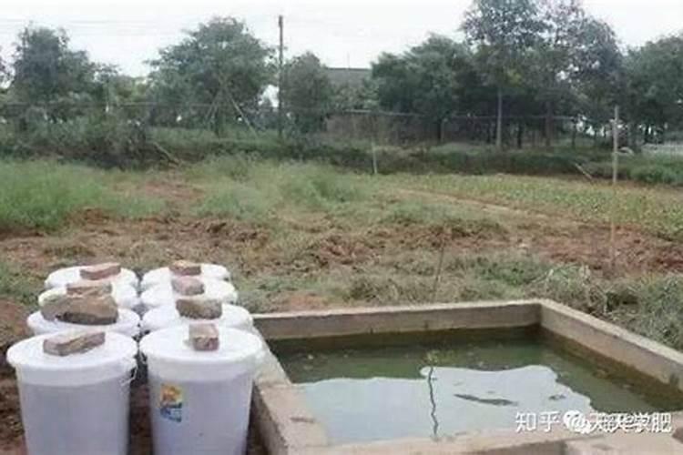 怎样用发酵桶发酵水溶肥料？