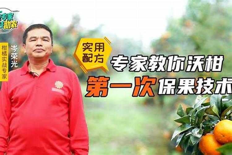 沃柑保果的最佳配方