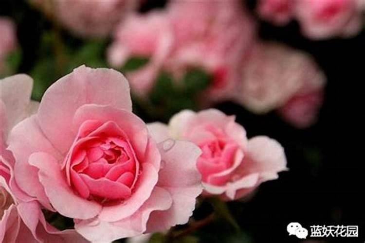 早春施肥 这些知识要知道