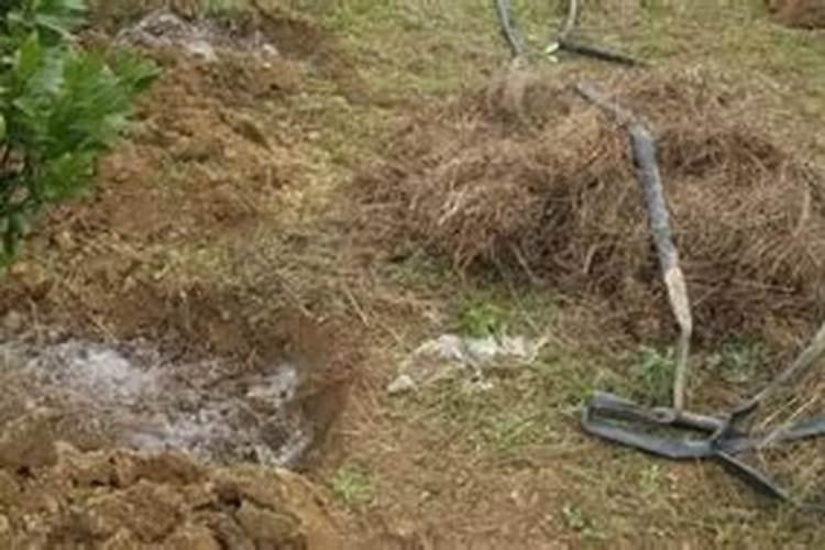 复合肥撒在土层上面,没有泥盖住,肥效损失多吗？特别是晴天。