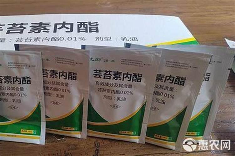 芸苔素对小麦起什么作用