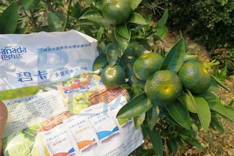 柑橘水溶肥推荐使用方法有哪些？