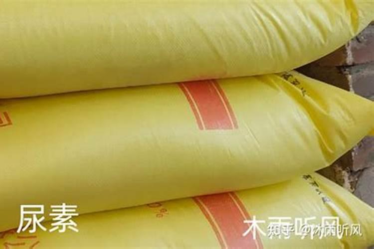 板栗树页面肥30斤水加多少尿素