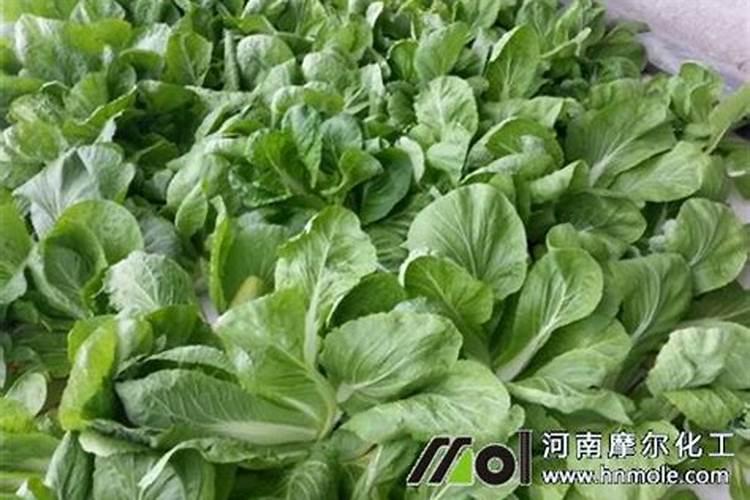 水溶肥几天后能采摘蔬菜？