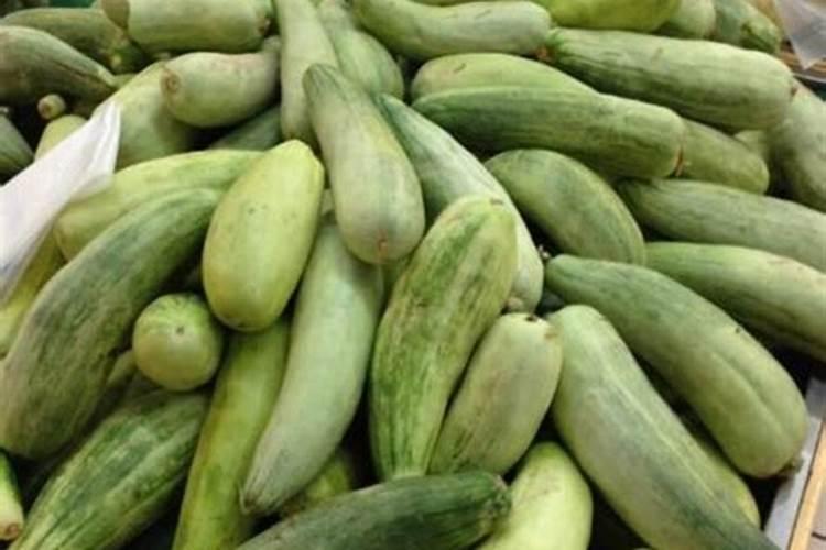 角瓜和倭瓜能种在一起吗？