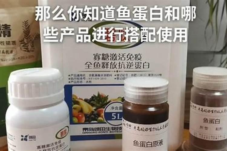 鱼蛋白肥料的使用技巧