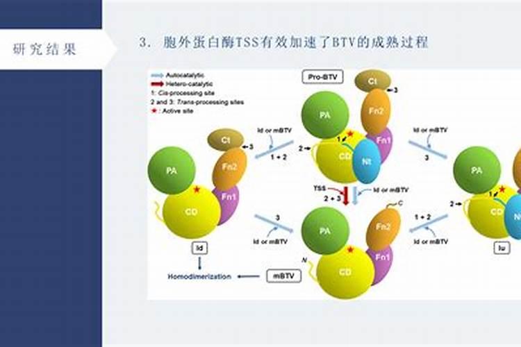 高浓缩酶菌肽鱼蛋白是什么原理？