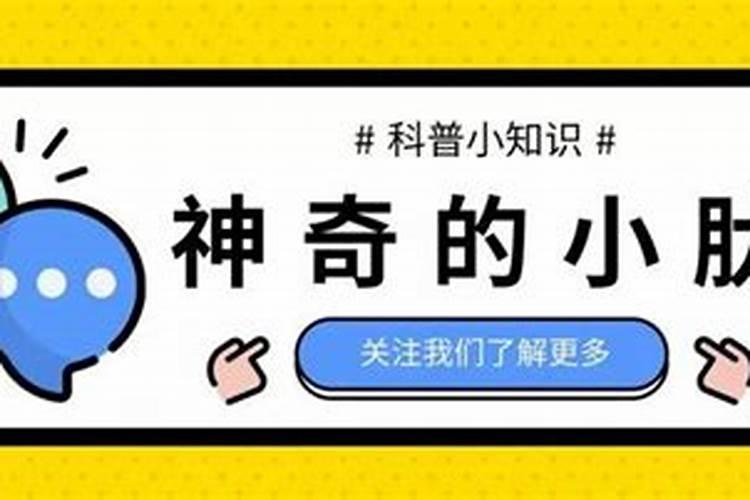 优久系列科普之神奇的小肽(二)