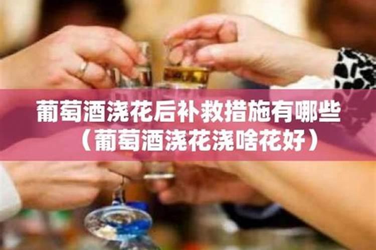 葡萄酒稀释可以浇花吗