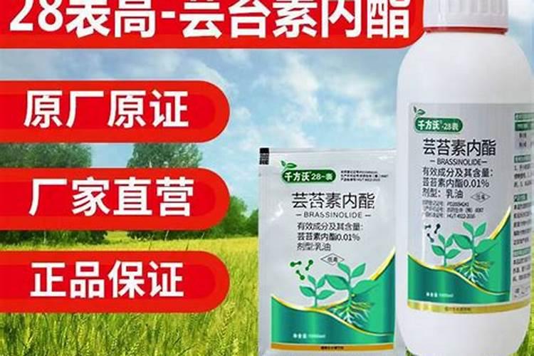 水稻芸苔素20克兑多少水比较好？